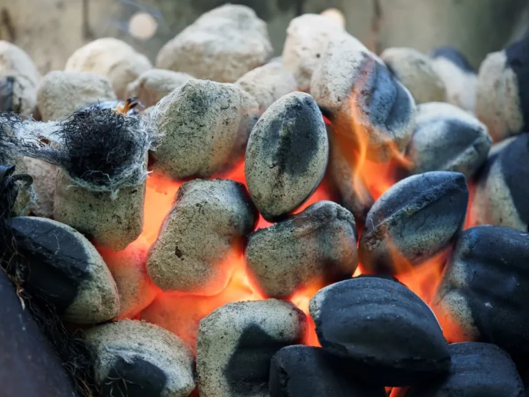 briquettes burning on a fire