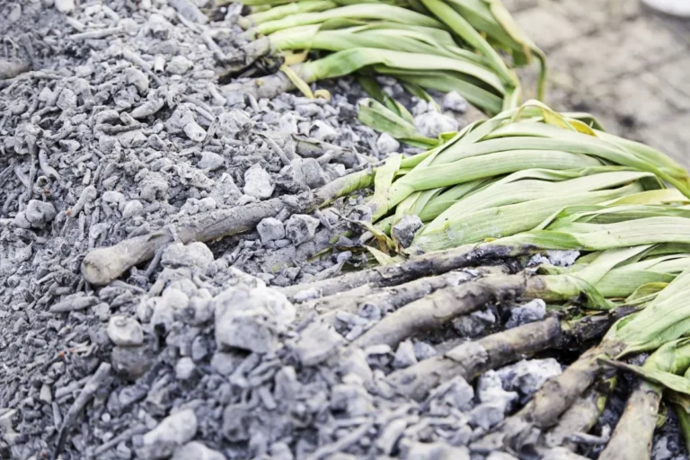 wood ash on ground for compost